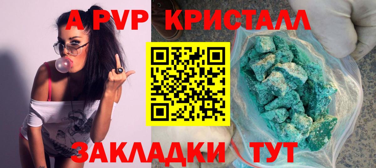 А ПВП крисы CK  Вход с VPN  Новороссийск  Альфа ПВП СК КРИС  A PVP  A-PVP СК КРИС 