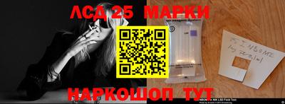 СК Славянск-на-Кубани