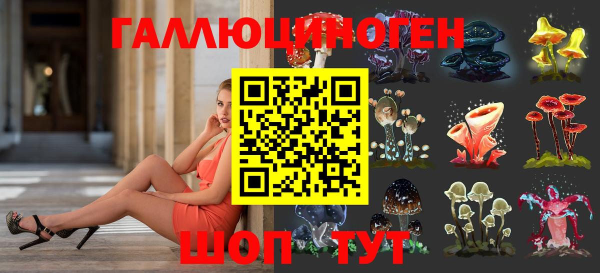 Галлюциногенные грибы MAGIC MUSHROOMS  Галлюциногенные грибы Psilocybe  Вход с VPN  Новороссийск 